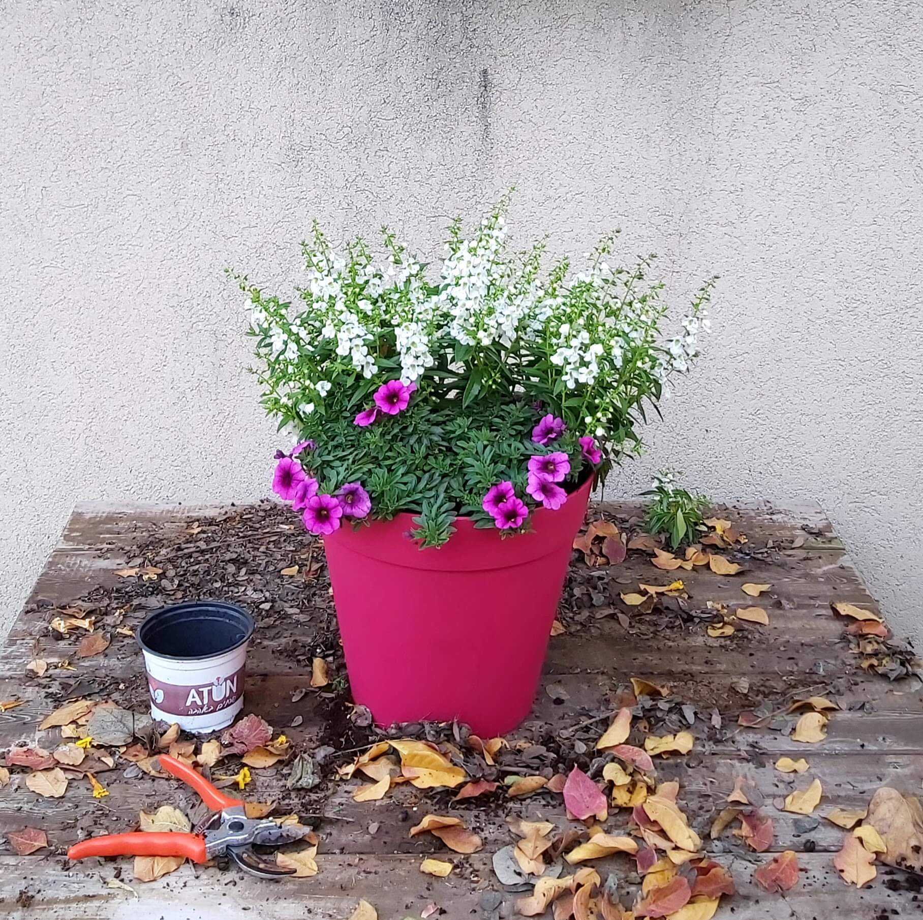 תערובת שתילה