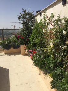 סגירת מרפסת