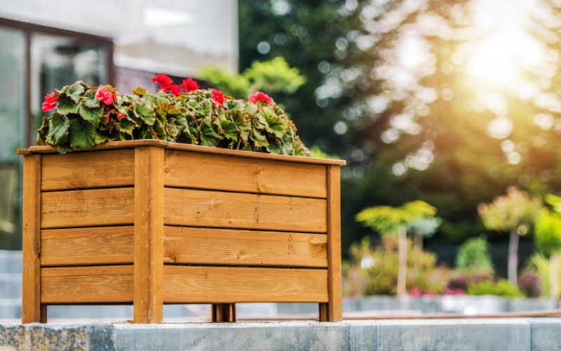 גינון באדניות