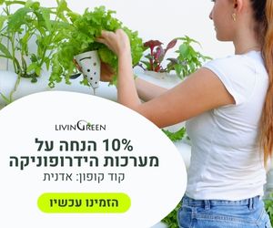 גינון הידרופוני